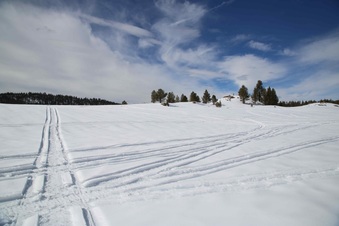 Enlarge photo 139