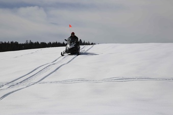 Enlarge photo 145