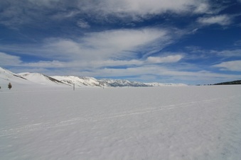 Enlarge photo 31