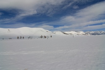 Enlarge photo 32