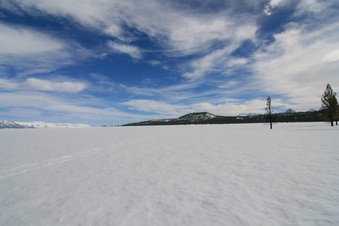 Enlarge photo 33