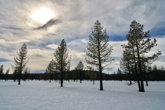Enlarge photo 34