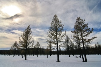 Enlarge photo 35