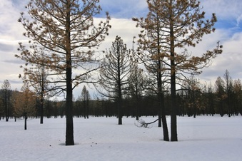 Enlarge photo 36