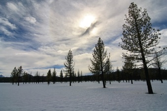 Enlarge photo 37