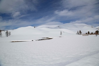 Owens Rd Snow Field