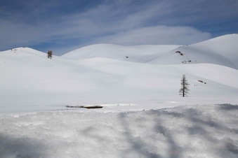 Enlarge photo 6