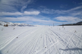 Enlarge photo 8