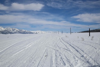 Enlarge photo 9