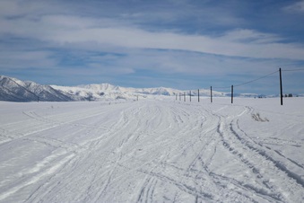 Enlarge photo 10