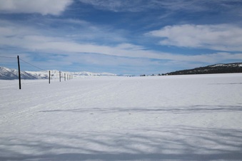 Enlarge photo 11