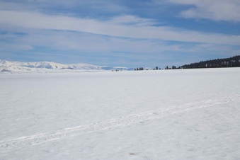 Enlarge photo 17