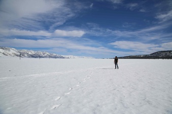 Enlarge photo 20