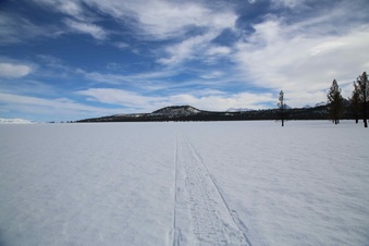 Enlarge photo 21