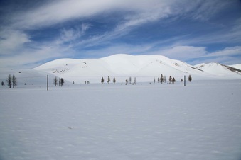 Enlarge photo 23