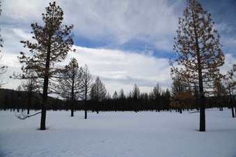 Enlarge photo 26