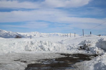 Enlarge photo 28