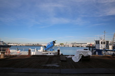 Enlarge photo 41