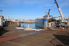 Enlarge photo 83