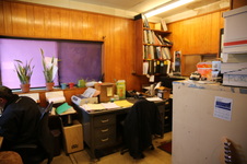 Enlarge photo 124