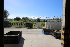Enlarge photo 31