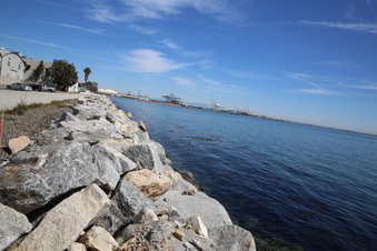 Enlarge photo 122