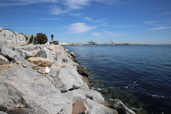 Enlarge photo 124
