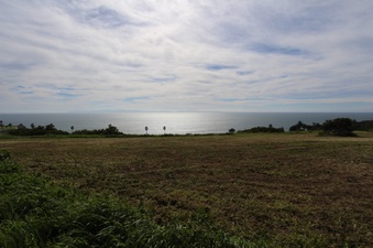Enlarge photo 60