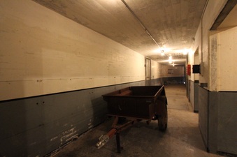 Enlarge photo 98