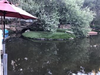 Enlarge photo 3