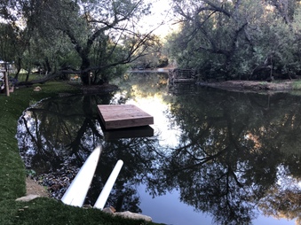 Enlarge photo 7