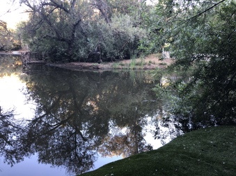 Enlarge photo 6