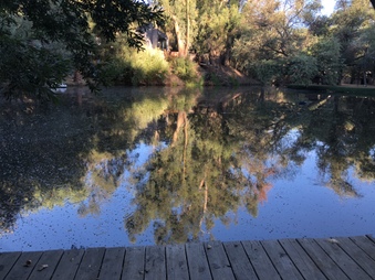 Enlarge photo 21
