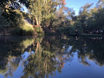 Enlarge photo 22