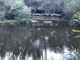 Enlarge photo 27