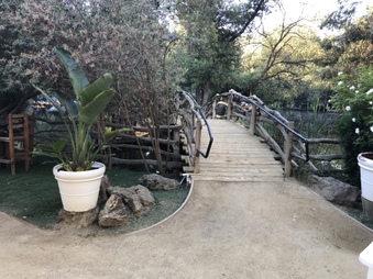 Enlarge photo 24