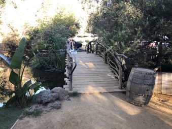 Enlarge photo 25