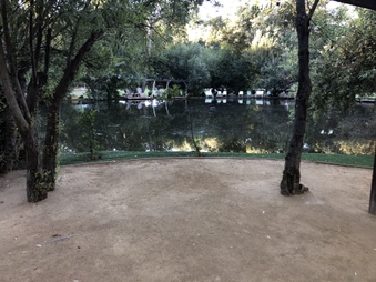 Enlarge photo 29