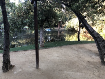 Enlarge photo 31
