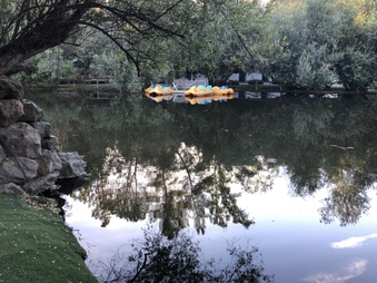 Enlarge photo 32
