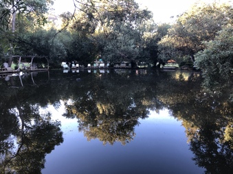 Enlarge photo 34