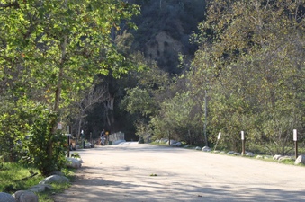 Enlarge photo 2