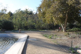 Enlarge photo 10