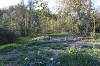 Enlarge photo 11