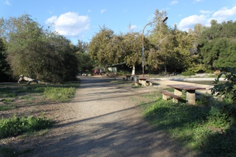Enlarge photo 12