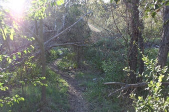 Enlarge photo 14