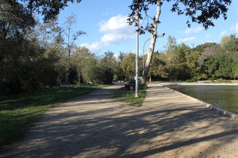 Enlarge photo 16