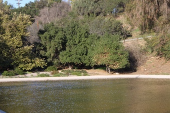 Enlarge photo 18