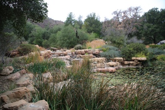 Enlarge photo 14