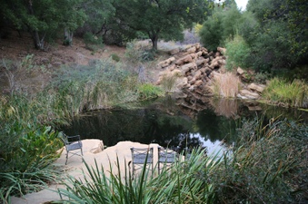 Enlarge photo 15
